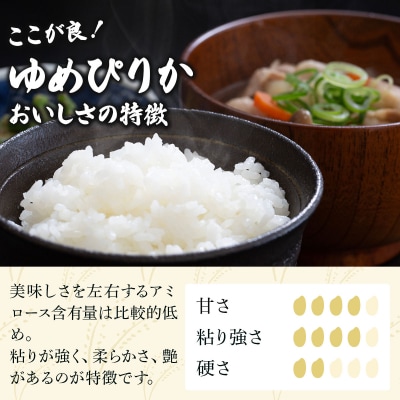 《令和7年産》<定期便3回> お米 ゆめぴりか 20kg | 米 白米【a164-022】