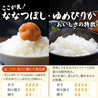 《令和 7 年産》北海道米 食べ比べセット 10kg [a164-025]| ゆめぴりか ななつぼし