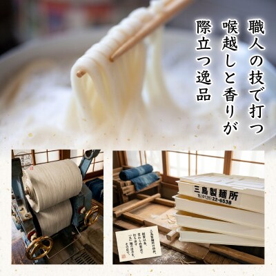 【生麺食べ比べ】至高の5種10食セット[a176-001] | そうめん うどん ラーメン パスタ 