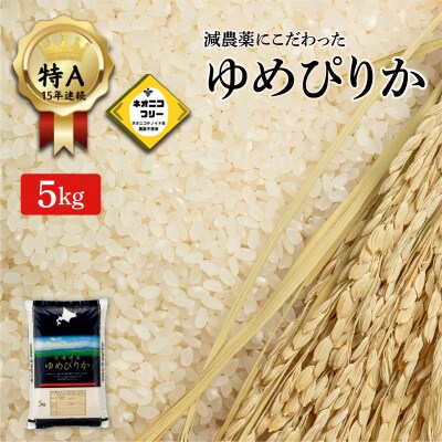 令和7年産 アグリプロ未来のゆめぴりか 5kg【a178-001】北海道 岩見沢市 北海道産 お米 