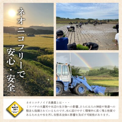 令和7年産 アグリプロ未来のゆめぴりか 10kg(5kg×2袋)【a178-002】北海道 岩見沢市