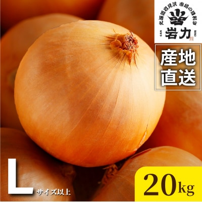 北海道岩見沢産たまねぎ 20kg【a142-009】