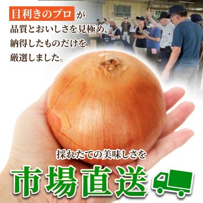 北海道岩見沢産たまねぎ 20kg【a142-009】