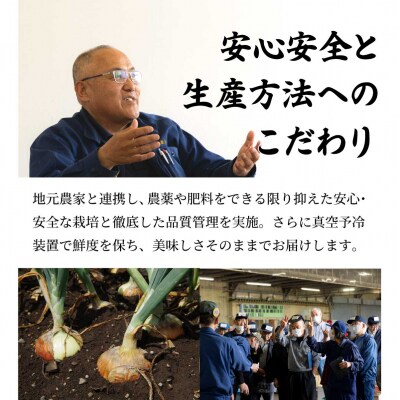 北海道岩見沢産たまねぎ 20kg【a142-009】