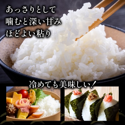 ＜先行予約＞令和8年産 ななつぼし 10kg (5kg×2袋) 精米【a161-003】