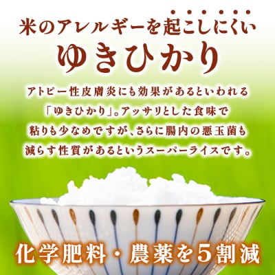 上志文産メープル米 特別栽培米ゆきひかり 5kg【a121-034】