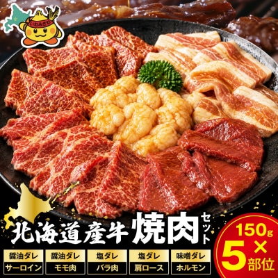 北海道産牛 色々な部位 焼肉セット 750g (150g×5袋)【a163-046】