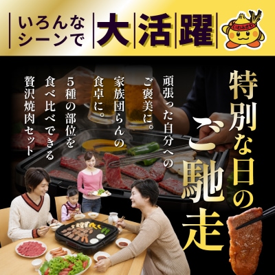 北海道産牛 色々な部位 焼肉セット 750g (150g×5袋)【a163-046】