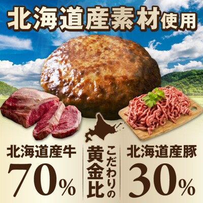 北海道産 鉄板焼ハンバーグ 140g×6個【a163-047】