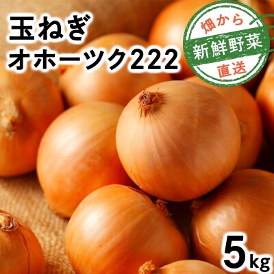 【順次配送】畑から直送の新鮮野菜!玉ねぎ(オホーツク222)5kg【a168-004-0】
