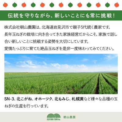 【順次配送】畑から直送の新鮮野菜!玉ねぎ(オホーツク222)5kg【a168-004-0】