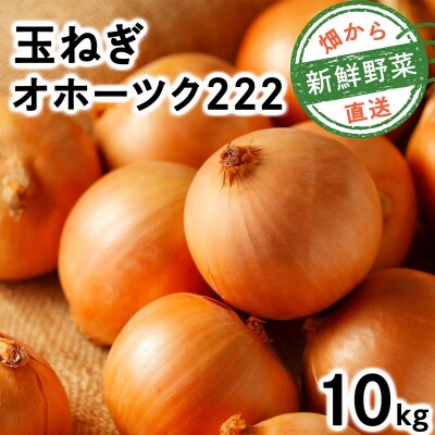 【順次配送】畑から直送の新鮮野菜!玉ねぎ(オホーツク222)10kg【a168-005-0】