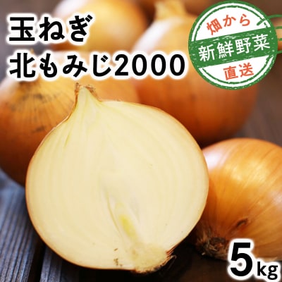畑から直送の新鮮野菜!玉ねぎ(北もみじ2000)5kg【a168-007】