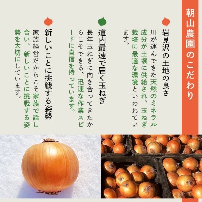 畑から直送の新鮮野菜!玉ねぎ(北もみじ2000)5kg【a168-007】