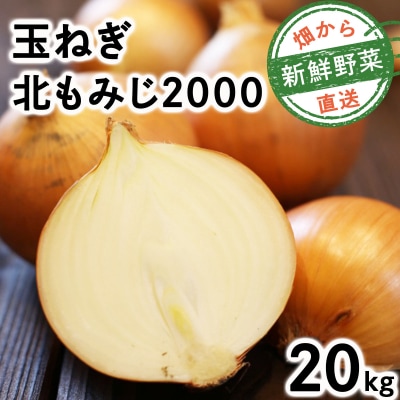 畑から直送の新鮮野菜!玉ねぎ(北もみじ2000)20kg【a168-009】