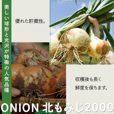 畑から直送の新鮮野菜!玉ねぎ(北もみじ2000)20kg【a168-009】