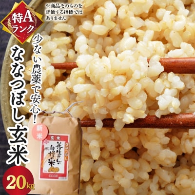 <令和8年産>善生さんの自慢の米 玄米ななつぼし 20kg【a104-112】
