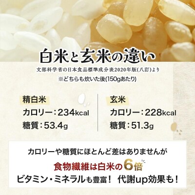 <令和8年産>善生さんの自慢の米 玄米ななつぼし 80kg【a104-092】