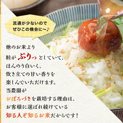 <令和8年産>お米 おぼろづき 10kg|善生さんの自慢の米【a104-119】