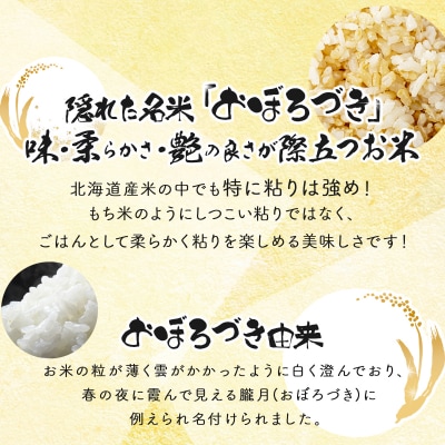 <令和8年産>善生さんの自慢の米 玄米おぼろづき 5kg【a104-100】