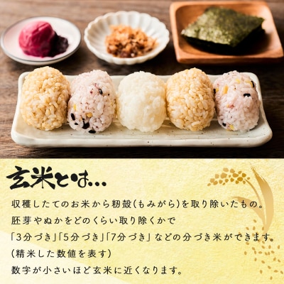 <令和8年産>善生さんの自慢の米 玄米おぼろづき 5kg【a104-100】