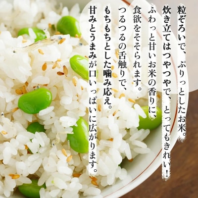 <令和8年産>お米 ゆめぴりか 40kg|善生さんの自慢の米【a104-089】