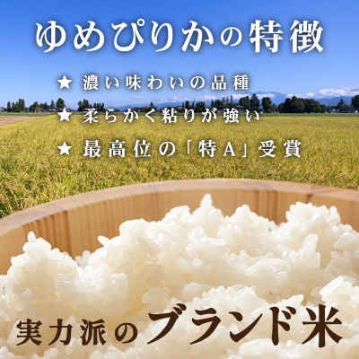 <6回定期便>令和8年産 上志文産メープル米「ゆめぴりか」5kg【a121-044】