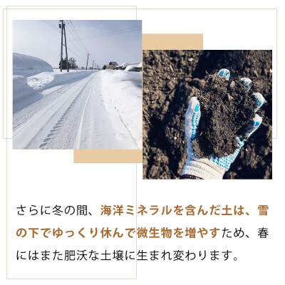 真珠の玉葱 空知黄 3kg ＜海のミネラルで育てた幻の玉葱 空知黄＞【a134-010】