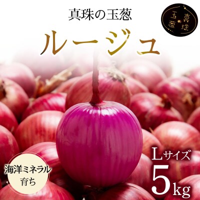 真珠の玉葱 ルージュ Lサイズ 5kg ＜海のミネラルで育てた赤玉葱＞【a134-011】