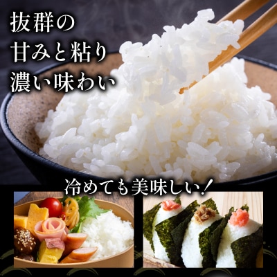 令和8年産 ゆめぴりか 10kg (5kg×2袋) 精米【a161-006】