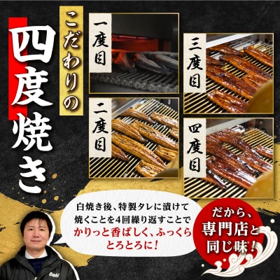 鹿児島県産うなぎ長蒲焼2尾