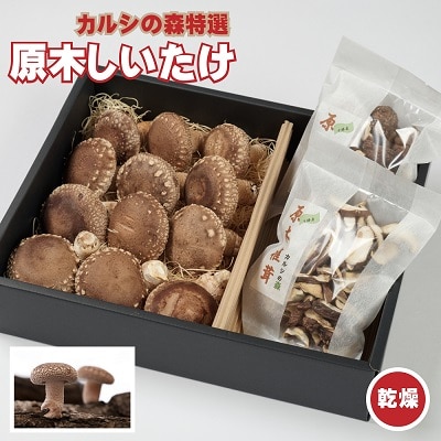 カルシの森の特選原木椎茸(生・乾)詰め合わせセット Y-1302