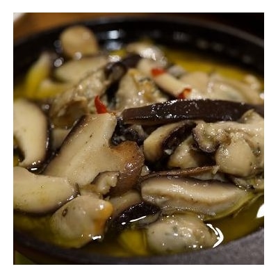 原木しいたけ栽培ほだ木(1本) Y-0801