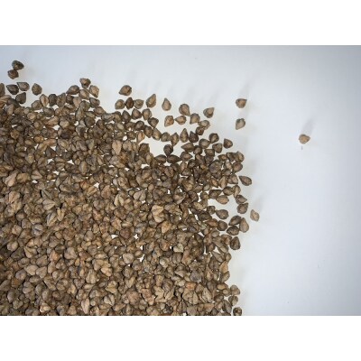 新得そばの実3kg A-2501