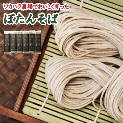 ワカハラ農場でおいしく育ったぼたんそば《太麺》6束 L-1502