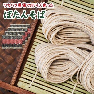 ワカハラ農場でおいしく育ったぼたんそば《細麺》 20束L-5003