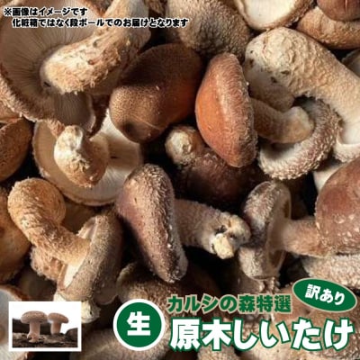 【訳あり】カルシの森特選 原木しいたけ(生)約1kg Y-1005 