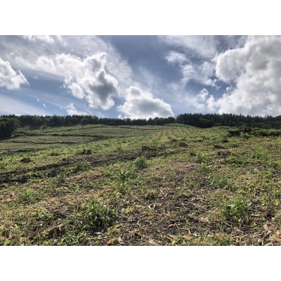 新得町有林の植林オーナー　苗木100本分 AB-1001