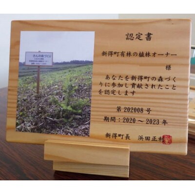 新得町有林の植林オーナー　苗木200本分 AB-2003