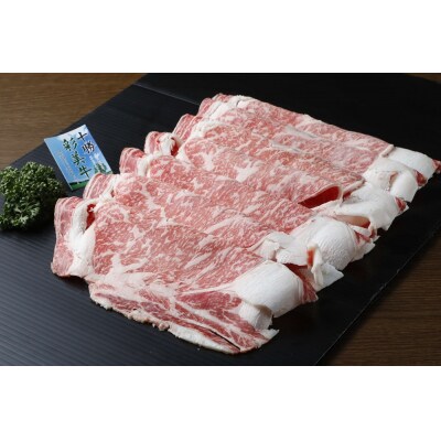 北海道十勝新得町 十勝彩美牛 サーロインステーキ・すき焼きリブロースセット D-4201