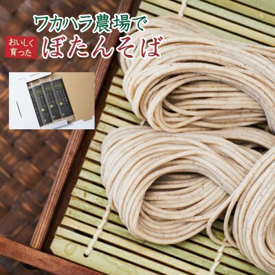 ワカハラ農場でおいしく育ったぼたんそば《太麺》4束 L-1013