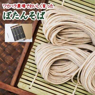 ワカハラ農場でおいしく育ったぼたんそば《太麺》4束 L-1013