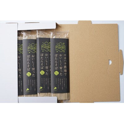 ワカハラ農場でおいしく育ったぼたんそば《太麺》4束 L-1013