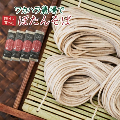 ワカハラ農場でおいしく育ったぼたんそば《細麺》4束　L-1014
