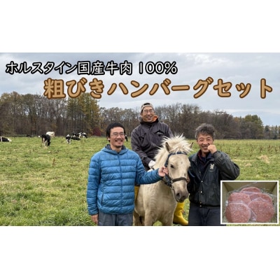 粗びきハンバーグ5個セット AN-0501