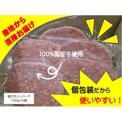 粗びきハンバーグ5個セット AN-0501