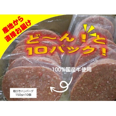 粗びきハンバーグ10個セット AN-0901