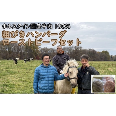 ハンバーグ+ローストビーフセット AN-1001