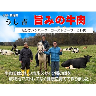 ローストビーフ2個セット AN-1501