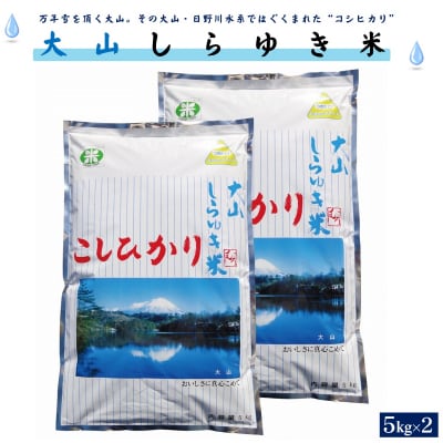 令和6年産 大山しらゆき米10kg(精白、コシヒカリ、5kg×2)
